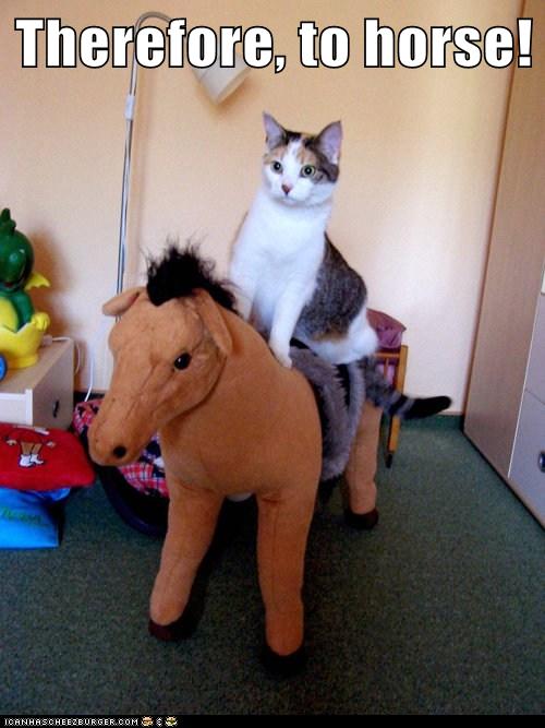 cat rides stuffed toy horse