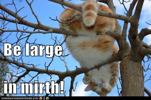 fat cat upside-down in tree